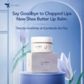 LipBalm